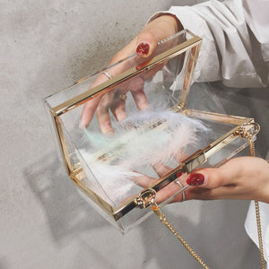 Women Acrylic Clear Bag Purse Cute Transparent Crossbody Bag Women's Lucite See Through Handbags Party Wedding Evening Clutch